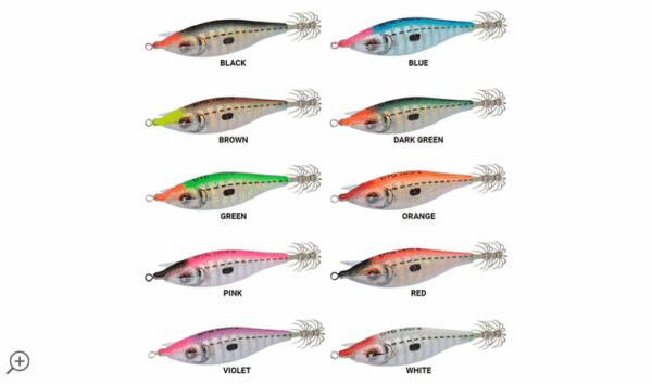 Jibionera DTD ZEBRA 2.5